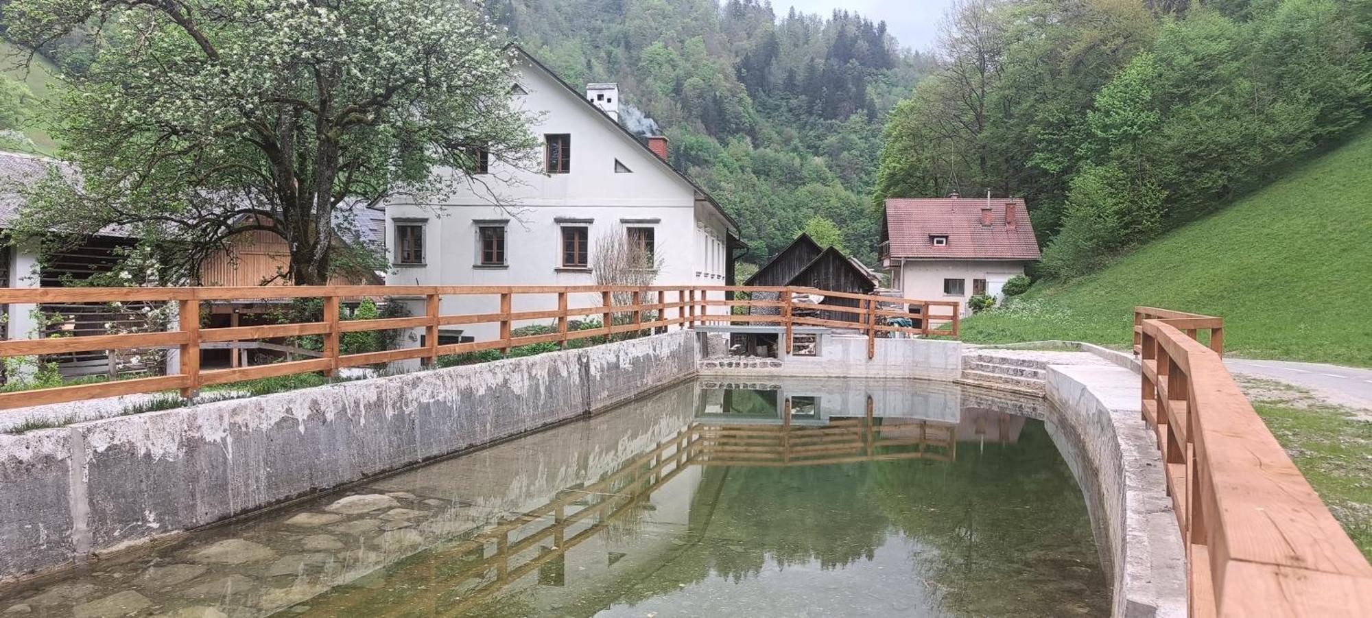 Haus Lagma Studio Zelezniki Esterno foto